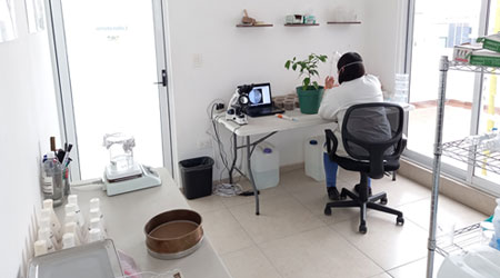 Investigacion Laboratorio Grupo JMG