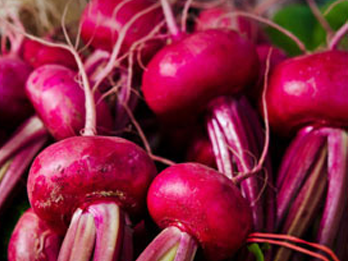Gaia Beetroot