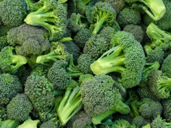 Gaia Broccoli