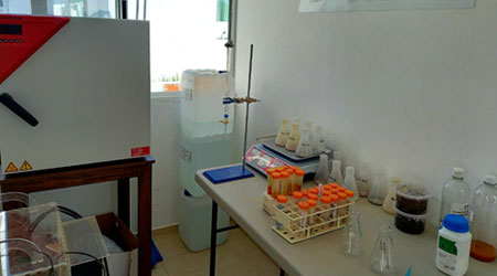 JMG Group Laboratory