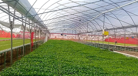 Soil and Water Non-Renewable Resources